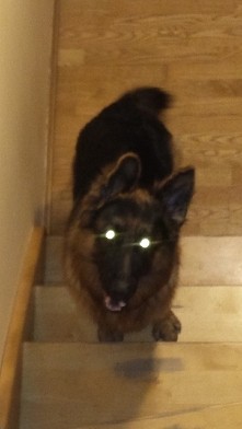 Jak ktoś uwarza że jest słodki, piekny to kom pod zdjęciem.