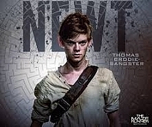 Newt