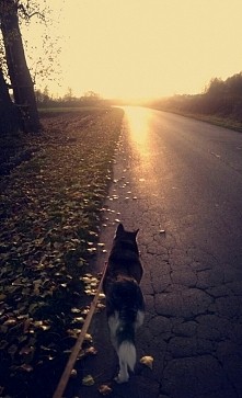 "Tinka <3"
śliczne zdjęcie :D