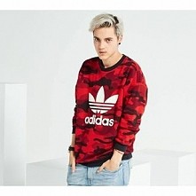 Radek *_* Ja kibicuję jemu a wy ?