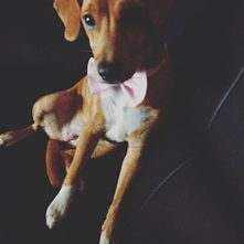 sweet! tinuśka❤️