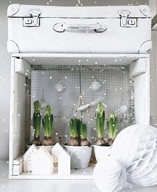 Śnieg?
Najlepiej w górach. ...