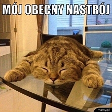 Tak właśnie się dziś czuje :|