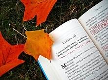 Więcej można przeczytać na ...