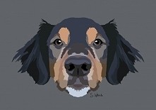 Znajdziecie mnie na faceboo...