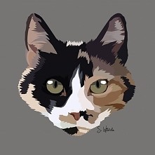 Znajdziecie mnie na faceboo...