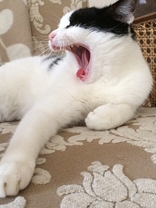 przygotowania świąteczne mnie wykańczają