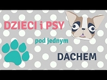 Jak to jest mieć dziecko i psa pod jednym dachem?