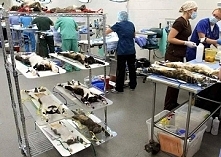 To, co się dzieje w laboratoriach koncernów kosmetycznych, jest szokujące. Pamiętajcie, aby nigdy nie kupować kosmetyków testowanych na zwierzętach! WIĘCEJ PO KLIKNIĘCIU W OBRAZEK.