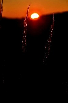 kocham zachody słońca