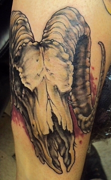 baran czacha z rogami