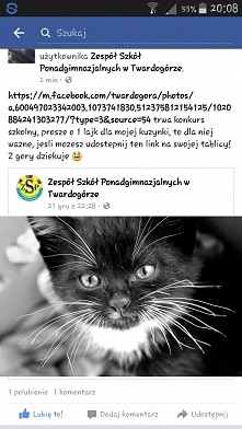 konkurs. lajki dla kotka.!