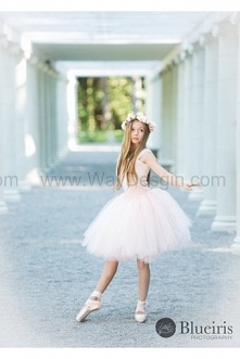 Gorgeous Flower Girl Dress, Photo Prop, Flower Girl Tutu Dress, Blush Pink and Ivory, Lce Top, Tutu Dress