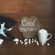 Dzień dobry;), jak Wam idą przygotowania do Świąt?