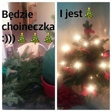 własnoręczna choinka
#choinka