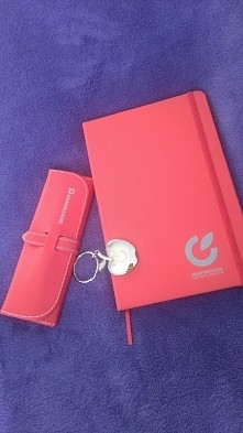 gadżety Skierniewic