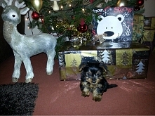 tak było dokładnie 3 lata t...