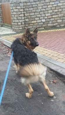 Z okazji świąt Bożego Narodzenia
Chcielibyśmy złożyć serdeczne życzenia.
I w te święta i przez życie,
Niech się wam wiedzie się obficie.
Niech nie braknie wam niczego,
Jeszcze r...