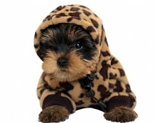 Moje wdzianko na zimę