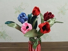 tulipan
