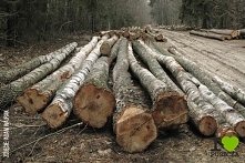 kochampuszcze.pl

petka ws. puszczy białowiejskiej