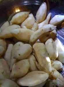 Zupa krem z topinamburu