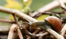 Wcale nie muszę się spieszyć, by osiągnąć zamierzone cele. Liczy się efekt oraz miny ludzi, którzy od początku mówili "nie uda ci się, nie nadajesz się". Siła jest tak...