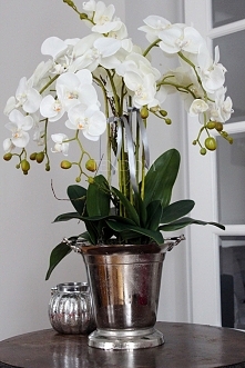 sztuczne storczyki od tendom.pl