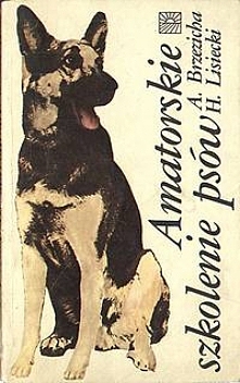 Amatorskie szkolenie psów