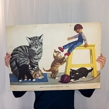 Sceny z życia zwierząt - koty