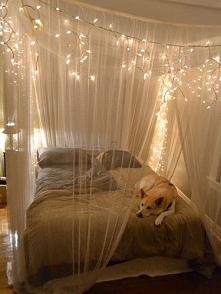 Get the tutorial for this fairy light canopy from Olive and Love