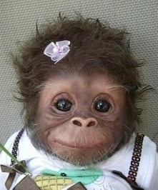 I just can't help but pin this peanut.