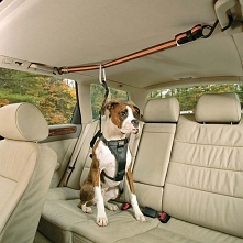 LOVE THIS... Can open the window and they wont fall out. They stay on the seat if you hit the brakes and they cannot bother you in the front seat....-Smart Harness and Auto Zip ...