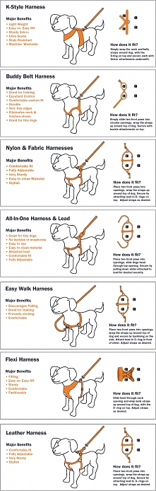 Different types of dog harnesses.