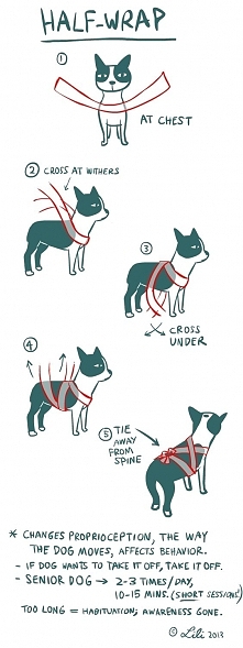 T Touch for dogs - alternative to thundershirt