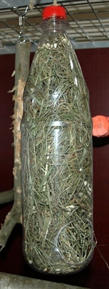 Drill or cut a big 'feeding' hole in the bottom and a hanging hole in the lid then fill it with hay or paper shred plus seeds and treats throughout!