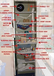 Rat cage from bookcase....don't even like rodent pets, but I gotta admire the townhouse cage...