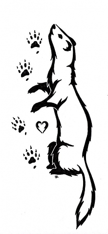 Cute Ferret Tattoo