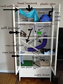 bohemian solace: rat home Thanks to pintrest inspiration I finally made my own rat cabinet :)