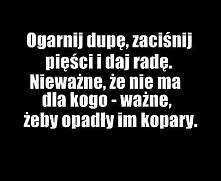 Damy Radę!