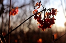 Dostrzegaj detale...