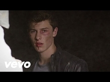 Shawn Mendes - Stitches (Official Video)