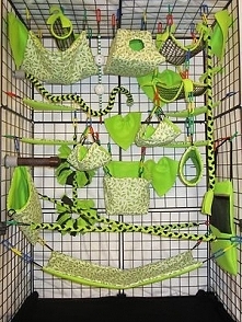 28pc Exclusive Bedding - Sugar Glider Cage Set - Rat toys - Jungle theme