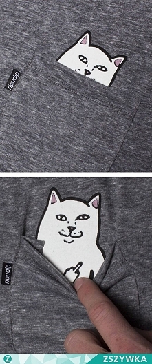 Gdzie można kupić taką koszulkę ? Pomocy !