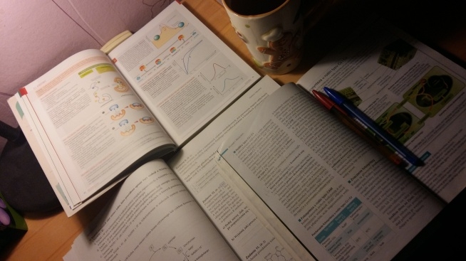 Study, study, study...