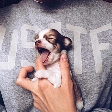 Taki mały słodziak <3 ♥