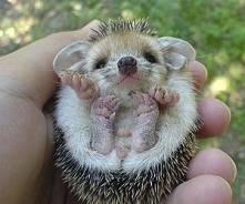 zakochałam się ♥