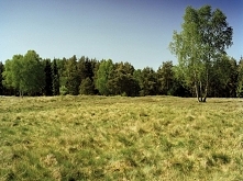 Jak szybko odnajdziesz snajpera na zdjęciach? WIĘCEJ PO KLIKNIĘCIU W OBRAZEK.