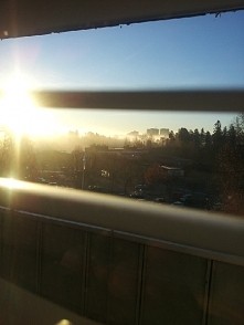 Jaki piękny nowy dzień♥