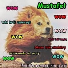 Mustafeł :DD